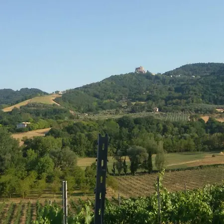 Il Vecchio Gelso - Agriturismo Rimini Lantgård