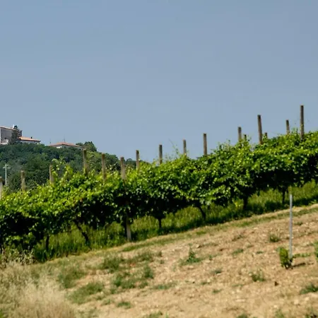 Lantgård Il Vecchio Gelso - Agriturismo Rimini Montefiore Conca