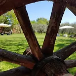 Il Vecchio Gelso - Agriturismo Rimini Alojamento de Turismo Rural *