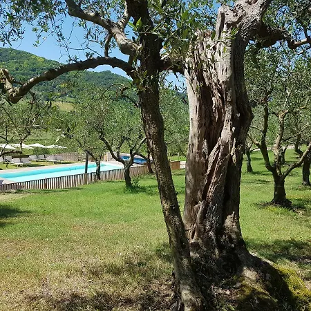 Il Vecchio Gelso - Agriturismo Rimini Montefiore Conca