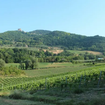 Il Vecchio Gelso - Agriturismo Rimini Çiftlik konaklama *