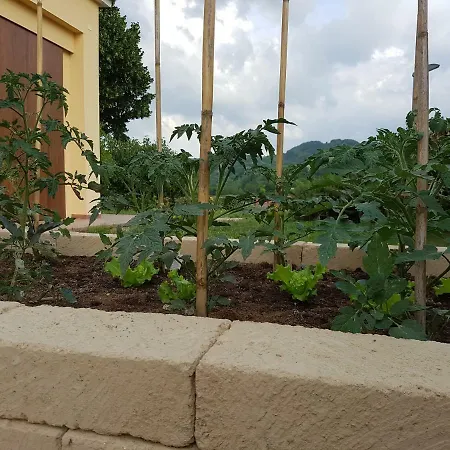 Il Vecchio Gelso - Agriturismo Rimini *