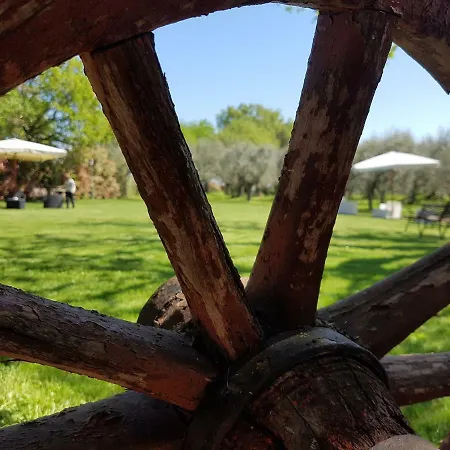 Il Vecchio Gelso - Agriturismo Rimini בית חווה *