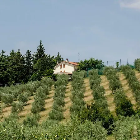 مزرعة للإقامة Il Vecchio Gelso - Agriturismo Rimini *