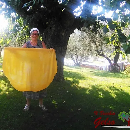 Il Vecchio Gelso - Agriturismo Rimini