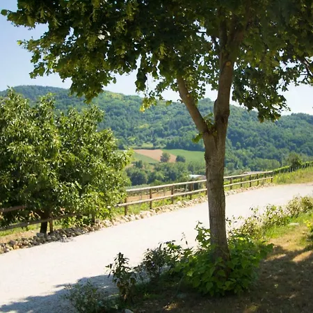 Çiftlik konaklama Il Vecchio Gelso - Agriturismo Rimini