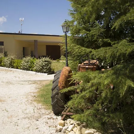 Il Vecchio Gelso - Agriturismo Rimini * Montefiore Conca