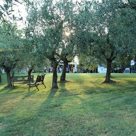 Il Vecchio Gelso - Agriturismo Rimini