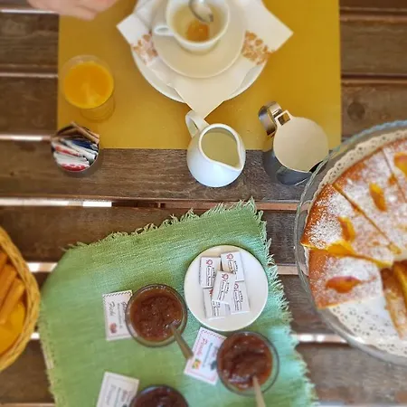 Il Vecchio Gelso - Agriturismo Rimini Çiftlik konaklama *