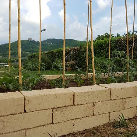 Çiftlik konaklama Il Vecchio Gelso - Agriturismo Rimini