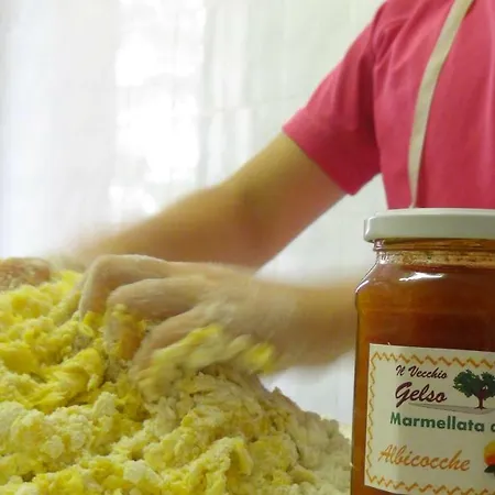 Çiftlik konaklama Il Vecchio Gelso - Agriturismo Rimini