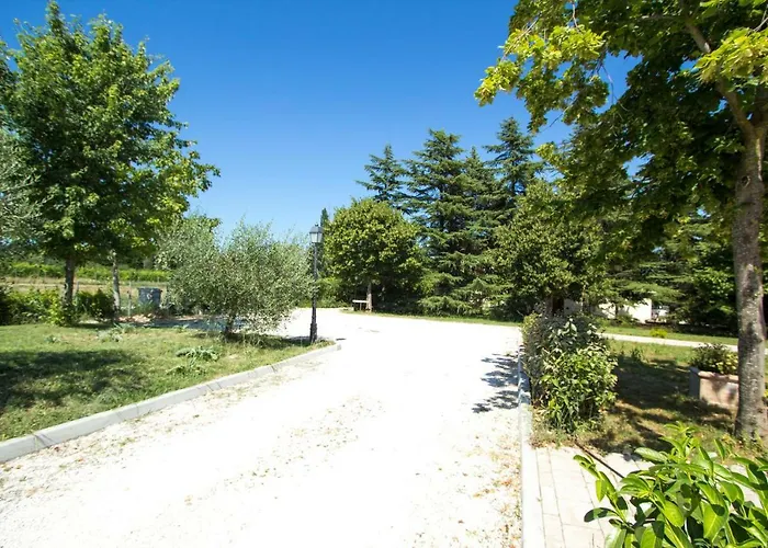 Il Vecchio Gelso - Agriturismo Rimini Farm stay Montefiore Conca