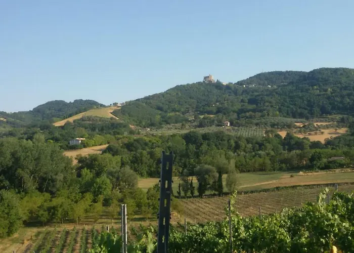 Il Vecchio Gelso - Agriturismo Rimini Farm stay