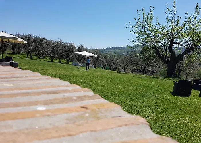 Farma Il Vecchio Gelso - Agriturismo Rimini *