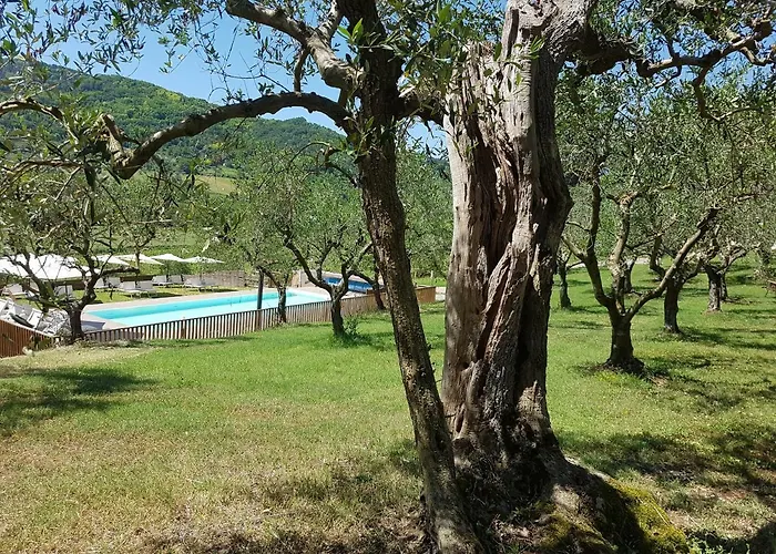 Il Vecchio Gelso - Agriturismo Rimini Montefiore Conca