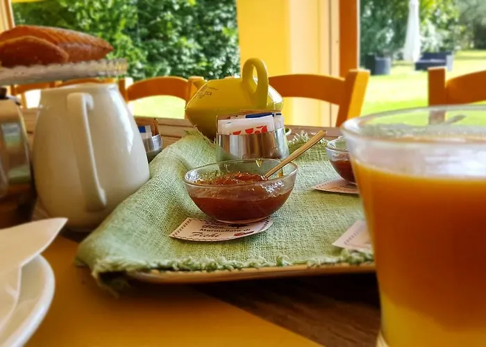 Farm stay Il Vecchio Gelso - Agriturismo Rimini