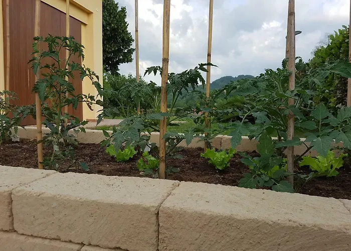 Il Vecchio Gelso - Agriturismo Rimini *