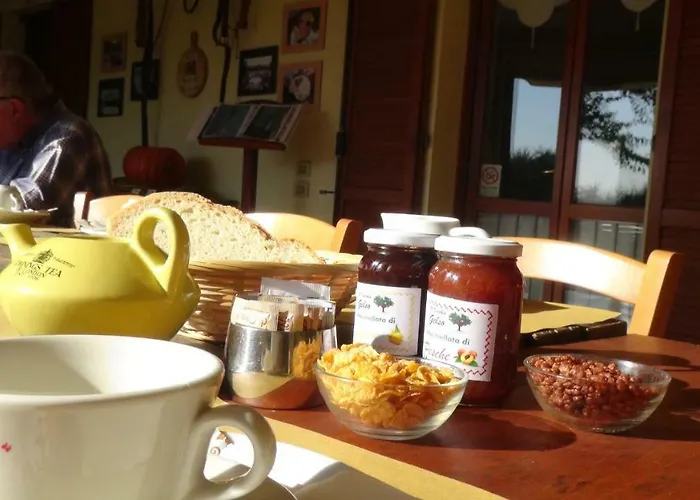 Farm stay Il Vecchio Gelso - Agriturismo Rimini Montefiore Conca