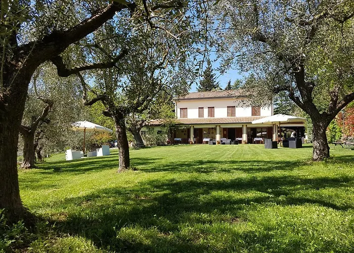 Il Vecchio Gelso - Agriturismo Rimini Alloggio per agriturismo Montefiore Conca
