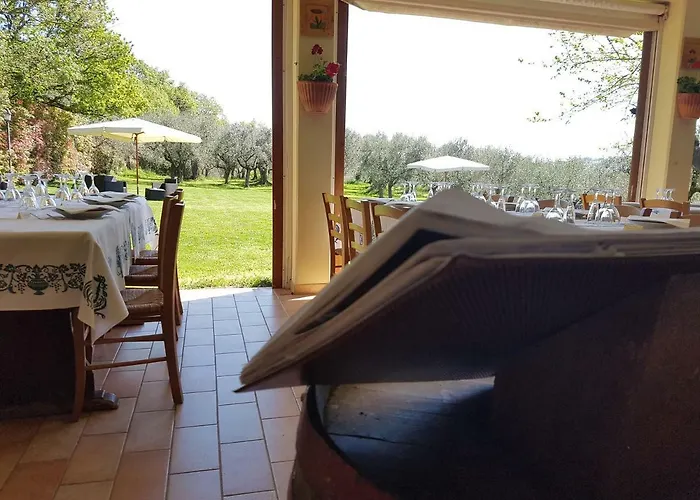 Il Vecchio Gelso - Agriturismo Rimini Montefiore Conca