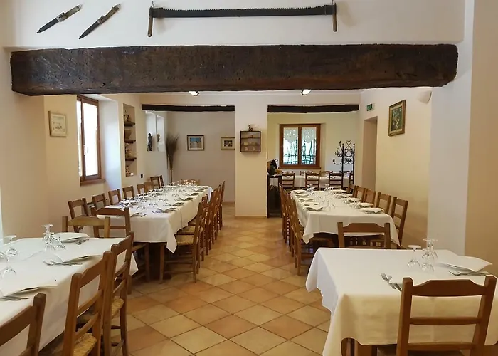 Il Vecchio Gelso - Agriturismo Rimini Montefiore Conca