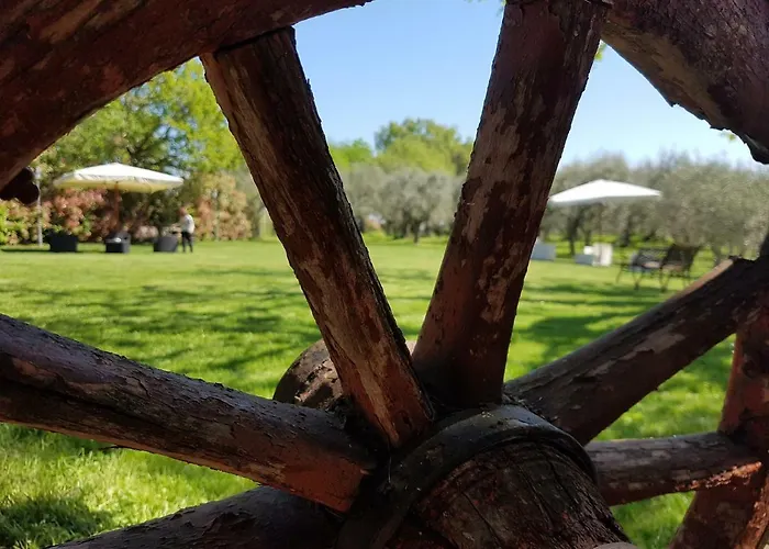 Il Vecchio Gelso - Agriturismo Rimini Фермерский дом *