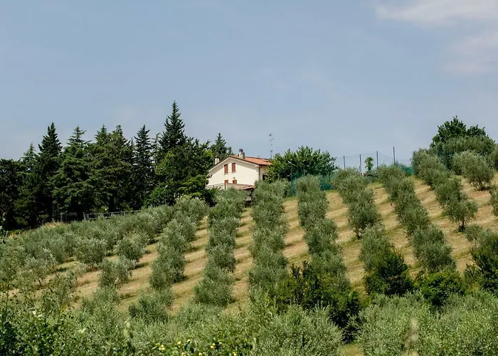 Farm stay Il Vecchio Gelso - Agriturismo Rimini *