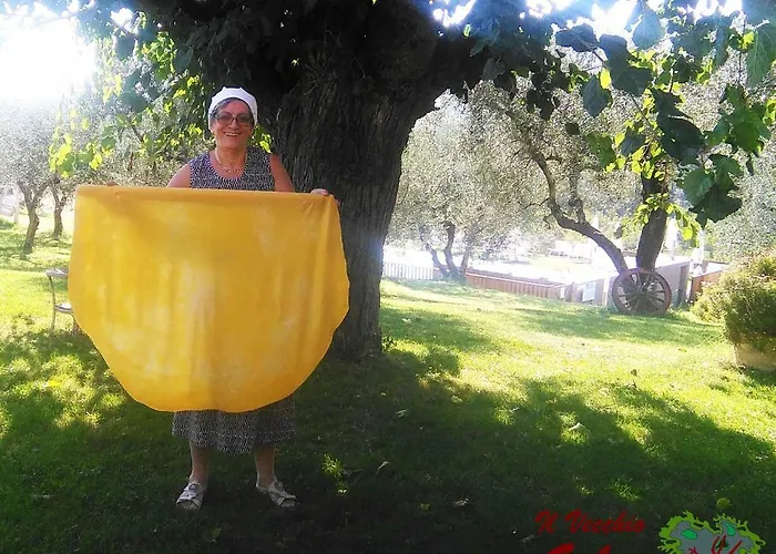 Il Vecchio Gelso - Agriturismo Rimini