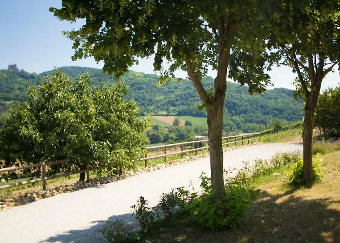 Фермерский дом Il Vecchio Gelso - Agriturismo Rimini