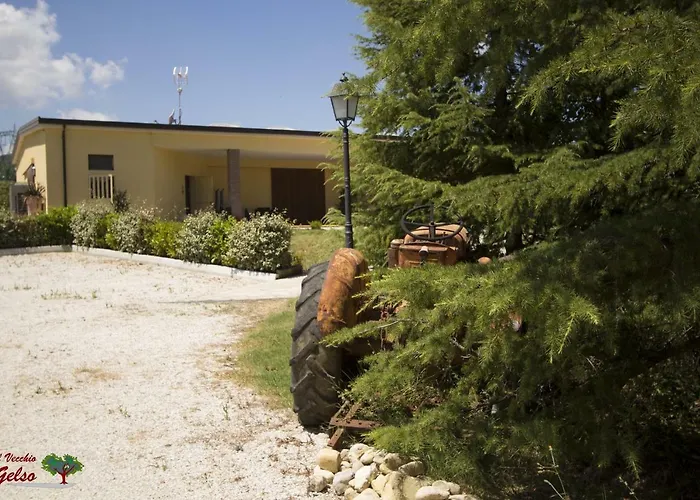 Il Vecchio Gelso - Agriturismo Rimini * Montefiore Conca