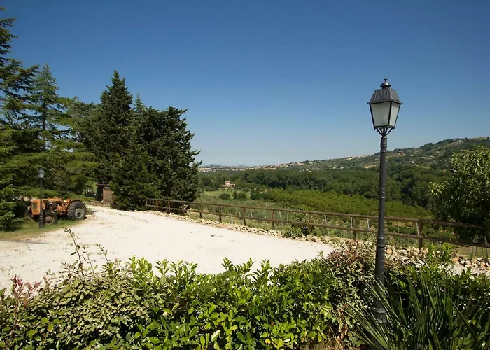 Farm stay Il Vecchio Gelso - Agriturismo Rimini *