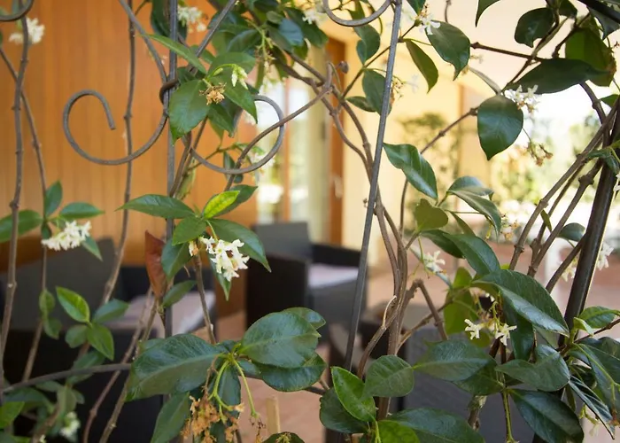 Фермерский дом Il Vecchio Gelso - Agriturismo Rimini *