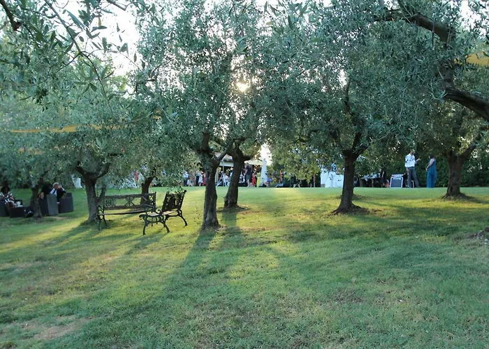 Il Vecchio Gelso - Agriturismo Rimini