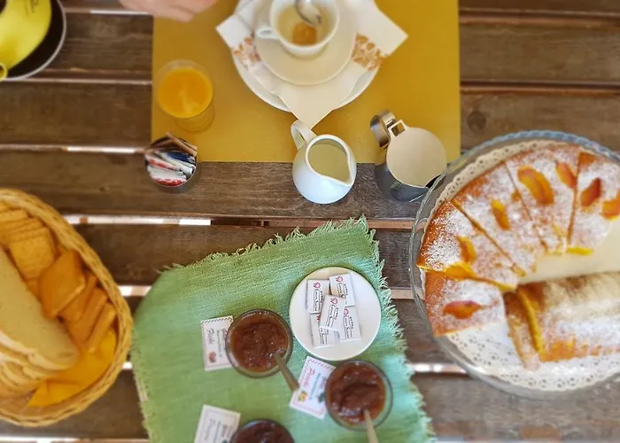 Il Vecchio Gelso - Agriturismo Rimini Alloggio per agriturismo *