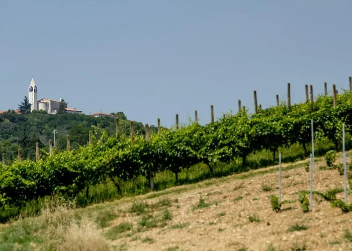 Alloggio per agriturismo Il Vecchio Gelso - Agriturismo Rimini Montefiore Conca