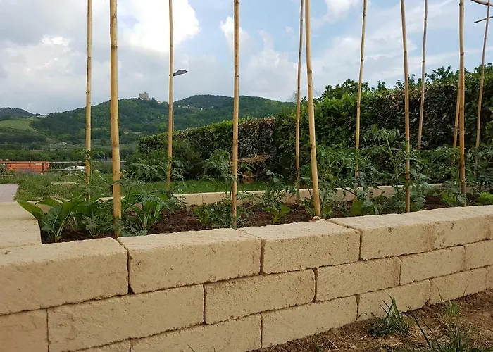 Alloggio per agriturismo Il Vecchio Gelso - Agriturismo Rimini