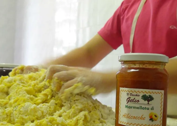 Фермерский дом Il Vecchio Gelso - Agriturismo Rimini